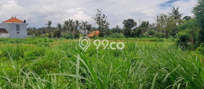 Untuk Dijual Tanah di Gianyar, Luas 2140m2 SHM Untuk Dijual Tanah di Gianyar, Luas 2140m2 SHM