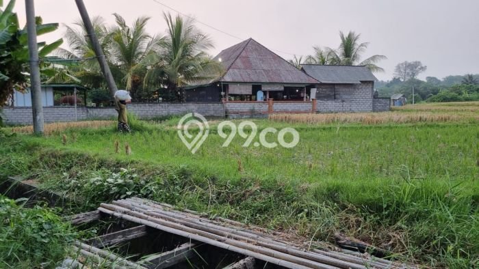 Tanah Investasi Dijual di Gianyar Punya Luas 1875m2 Tanah Investasi Dijual di Gianyar Punya Luas 1875m2