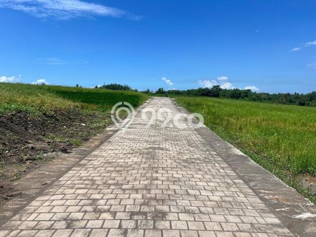 Untuk Dijual Tanah di Kerambitan Tabanan Luas 500m2 SHM Untuk Dijual Tanah di Kerambitan Tabanan Luas 500m2 SHM