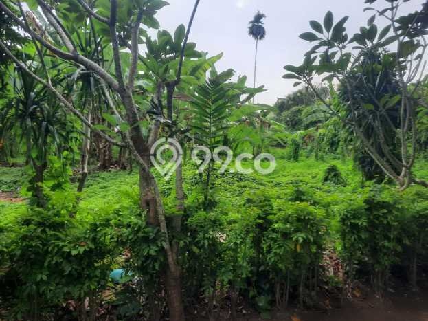 Dijual Tanah 1000m2 di Sanur, Denpasar Dijual Tanah 1000m2 di Sanur, Denpasar