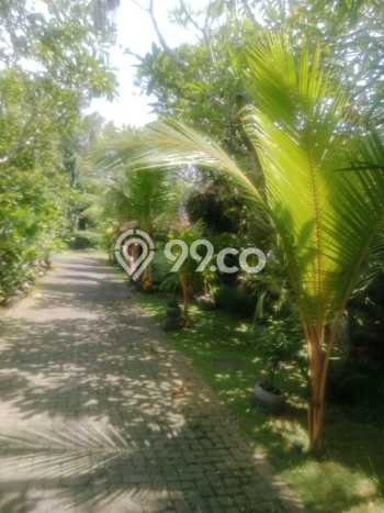 Dijual Tanah Lokasi Dalung, Badung Seluas 320m2 Dijual Tanah Lokasi Dalung, Badung Seluas 320m2