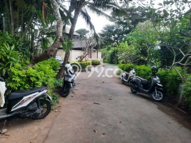 Dijual Tanah 1000m2 di Sanur, Denpasar Dijual Tanah 1000m2 di Sanur, Denpasar
