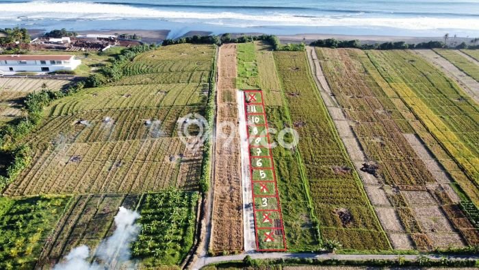 Tanah Dijual Lokasi Kerambitan Tabanan SHM Tanah Dijual Lokasi Kerambitan Tabanan SHM