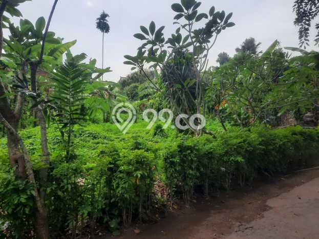 Dijual Tanah 1000m2 di Sanur, Denpasar Dijual Tanah 1000m2 di Sanur, Denpasar