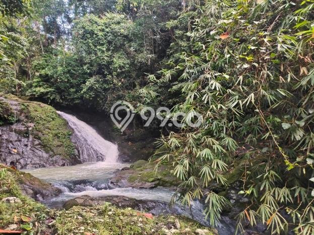 Tanah Kavling Dijual di Gadungan, Tabanan dengan Luas Tanah 13600m2 Tanah Kavling Dijual di Gadungan, Tabanan dengan Luas Tanah 13600m2