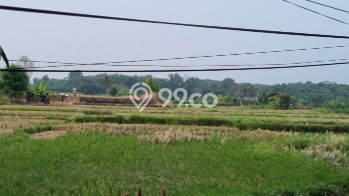 Tanah Investasi Dijual di Gianyar Punya Luas 1875m2 Tanah Investasi Dijual di Gianyar Punya Luas 1875m2