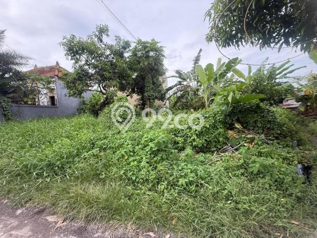 Tanah Dijual Area Strategis di Munggu Badung 200m2 Tanah Dijual Area Strategis di Munggu Badung 200m2