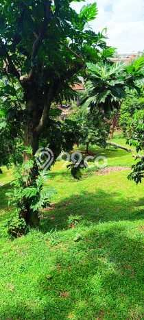 Kavling Tanah Dijual di Jagakarsa Jakarta Selatan Spesifikasi 500m2 Kavling Tanah Dijual di Jagakarsa Jakarta Selatan Spesifikasi 500m2