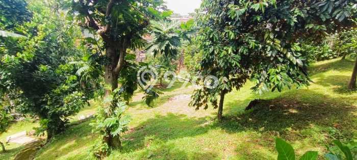 Kavling Tanah Dijual di Jagakarsa Jakarta Selatan Spesifikasi 500m2 Kavling Tanah Dijual di Jagakarsa Jakarta Selatan Spesifikasi 500m2