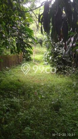 Tanah Kavling Dijual di Bogor dengan Spesifikasi 14500m2 Tanah Kavling Dijual di Bogor dengan Spesifikasi 14500m2