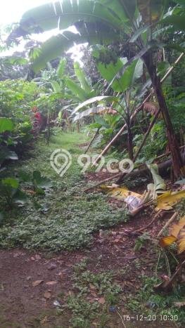 Tanah Kavling Dijual di Bogor dengan Spesifikasi 14500m2 Tanah Kavling Dijual di Bogor dengan Spesifikasi 14500m2