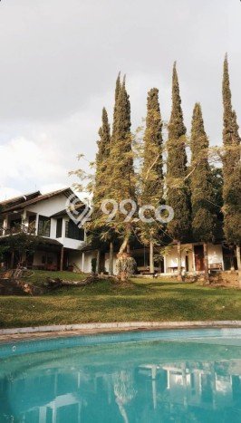 Vila Terawat Kawasan , Area 3475m2m², Lokasi Strategis dengan jalan bagus Vila Terawat Kawasan , Area 3475m2m², Lokasi Strategis dengan jalan bagus
