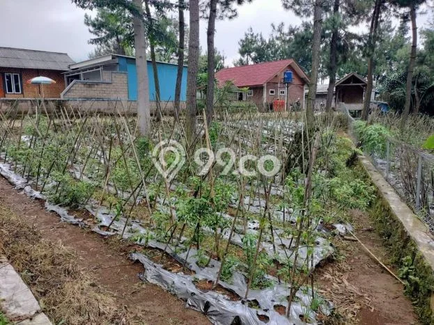 Miliki sekarang Vila di Subang, Dimensi 1740m2m², Dekat mudah transportasi Miliki sekarang Vila di Subang, Dimensi 1740m2m², Dekat mudah transportasi