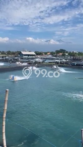 Kavling Tanah Dijual di Kraksaan Probolinggo Spesifikasi 3e+07m2 Kavling Tanah Dijual di Kraksaan Probolinggo Spesifikasi 3e+07m2