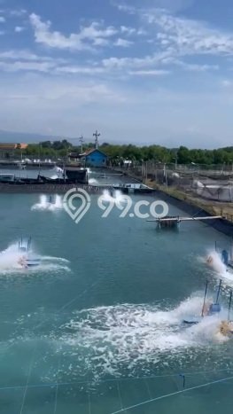 Kavling Tanah Dijual di Kraksaan Probolinggo Spesifikasi 3e+07m2 Kavling Tanah Dijual di Kraksaan Probolinggo Spesifikasi 3e+07m2