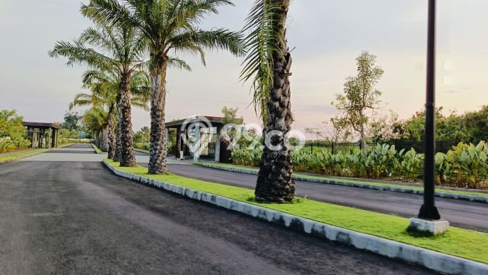 Disewakan Rumah Konsep Modern di Denpasar Timur Denpasar dengan 2 Kamar Disewakan Rumah Konsep Modern di Denpasar Timur Denpasar dengan 2 Kamar