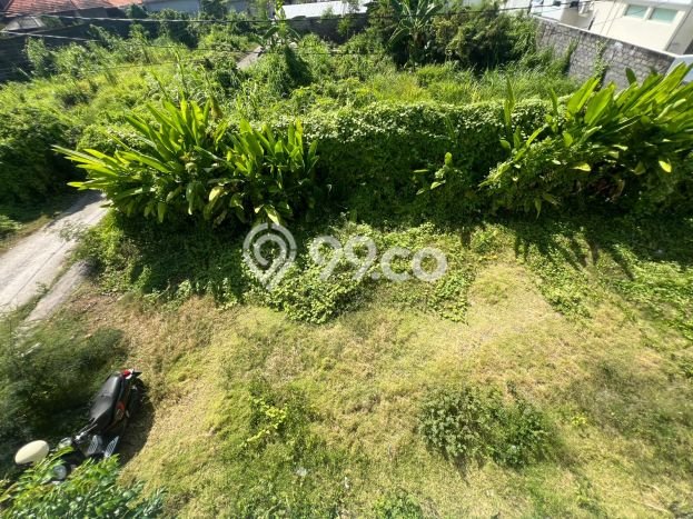 Tanah Disewa Strategis di Denpasar Luas 300m2 Tanah Disewa Strategis di Denpasar Luas 300m2