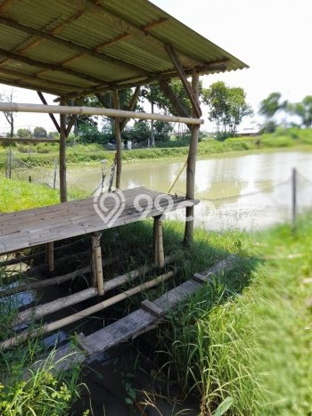 Lahan Kosong Dijual di Tegal dengan Area 9639m2 Lahan Kosong Dijual di Tegal dengan Area 9639m2