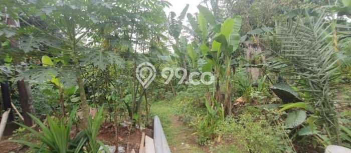 Tanah untuk Dijual Lokasi Cibinong, Bogor Luas 72m2 SHM Tanah untuk Dijual Lokasi Cibinong, Bogor Luas 72m2 SHM