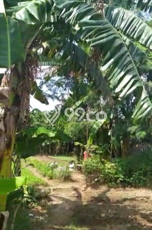 Tanah Dijual Lokasi Babelan Bekasi SHM Tanah Dijual Lokasi Babelan Bekasi SHM