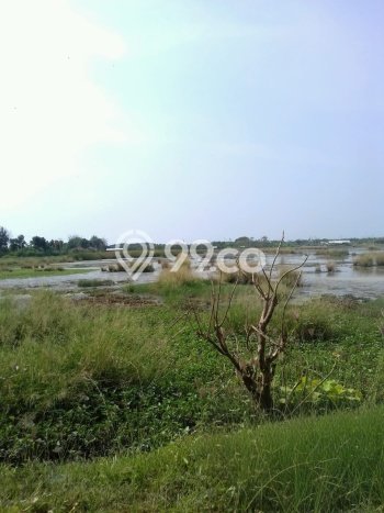 Lahan Kosong Dijual di Tegal dengan Area 9639m2 Lahan Kosong Dijual di Tegal dengan Area 9639m2