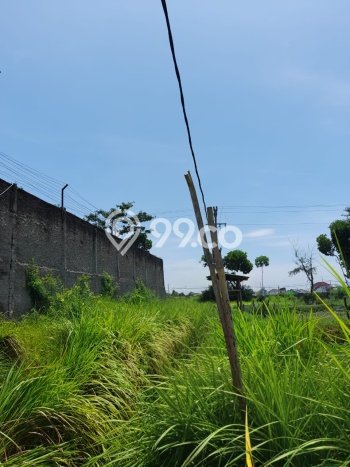 Lahan Kosong Dijual di Tegal dengan Area 9639m2 Lahan Kosong Dijual di Tegal dengan Area 9639m2