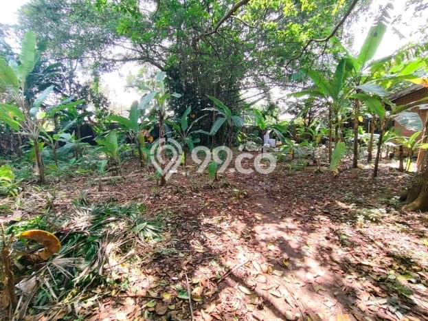 Kavling Tanah untuk Dijual di Harjamukti, Depok, Luas 1772m2 Kavling Tanah untuk Dijual di Harjamukti, Depok, Luas 1772m2