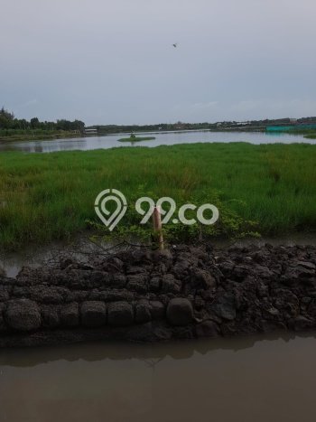 Lahan Kosong Dijual di Tegal dengan Area 9639m2 Lahan Kosong Dijual di Tegal dengan Area 9639m2