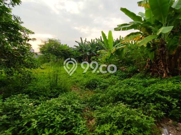 Dijual Tanah di Depok, Luas 1400m2 SHM Dijual Tanah di Depok, Luas 1400m2 SHM