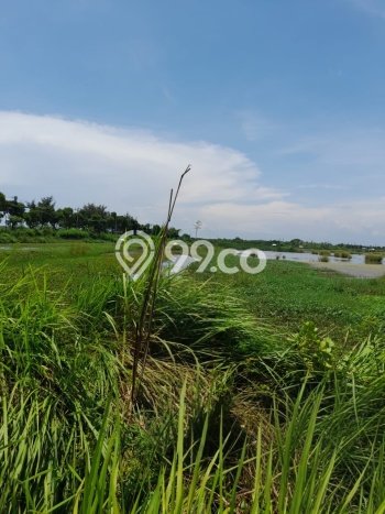 Lahan Kosong Dijual di Tegal dengan Area 9639m2 Lahan Kosong Dijual di Tegal dengan Area 9639m2