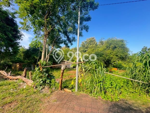 Kavling Tanah untuk Dijual di Nusa Dua, Badung, Luas 3250m2 Kavling Tanah untuk Dijual di Nusa Dua, Badung, Luas 3250m2