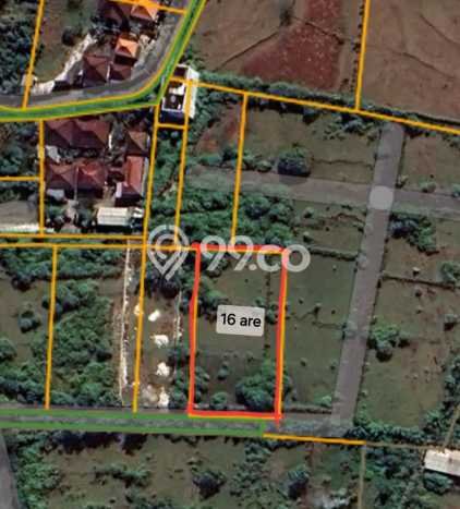 Tanah Lokasi Potensial Kawasan Ungasan, Luas 1600m², Dekat ke Fasilitas, Lingkungan Nyaman Tanah Lokasi Potensial Kawasan Ungasan, Luas 1600m², Dekat ke Fasilitas, Lingkungan Nyaman