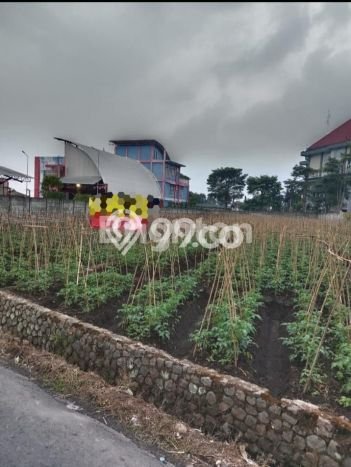 Dijual Tanah di Batu Batu Luas 2505m2 SHM Dijual Tanah di Batu Batu Luas 2505m2 SHM