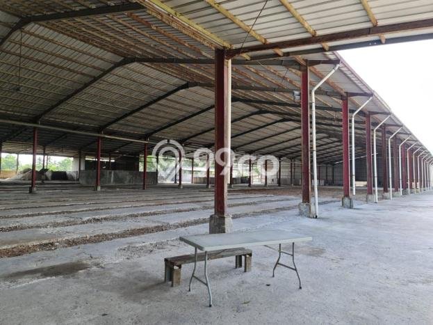 Pabrik Strategis Kawasan Cikande, Luas 6000m², Mainroad, Area Bisnis Aktif Pabrik Strategis Kawasan Cikande, Luas 6000m², Mainroad, Area Bisnis Aktif