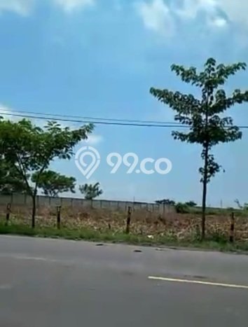 Dijual Tanah di Tuban Tuban Luas 40000m2 SHM Dijual Tanah di Tuban Tuban Luas 40000m2 SHM