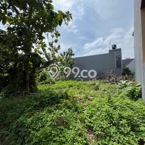 Jarang Ada! Tanah di Tembalang Punya Luas 229m2 SHM Jarang Ada! Tanah di Tembalang Punya Luas 229m2 SHM