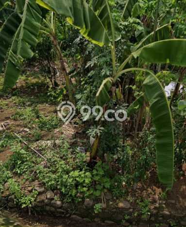 Tanah untuk Dijual Lokasi Gajah Mungkur, Semarang Luas 288m2 SHM Tanah untuk Dijual Lokasi Gajah Mungkur, Semarang Luas 288m2 SHM