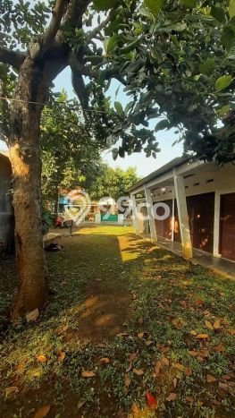 Jarang Ada! Tanah di Banyumanik Punya Luas 161m2 SHM Jarang Ada! Tanah di Banyumanik Punya Luas 161m2 SHM