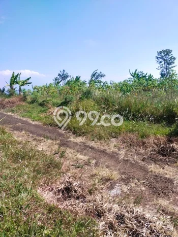 Tanah untuk Dijual Lokasi Cileunyi, Bandung Luas 200m2 SHM Tanah untuk Dijual Lokasi Cileunyi, Bandung Luas 200m2 SHM