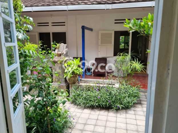 Disewakan Komersial Bisnis di Denpasar Utara Denpasar Harga Sewa Menarik Bisa Nego Disewakan Komersial Bisnis di Denpasar Utara Denpasar Harga Sewa Menarik Bisa Nego
