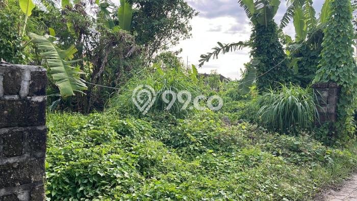 Tanah untuk Disewa di Denpasar Luas 300m2 Tanah untuk Disewa di Denpasar Luas 300m2