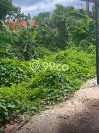Tanah untuk Disewa di Denpasar Luas 300m2 Tanah untuk Disewa di Denpasar Luas 300m2