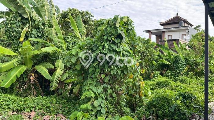 Tanah untuk Disewa di Denpasar Luas 300m2 Tanah untuk Disewa di Denpasar Luas 300m2