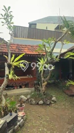 Disewakan Rumah Murah di Sanur Kauh Denpasar dengan 3 Kamar Tidur Disewakan Rumah Murah di Sanur Kauh Denpasar dengan 3 Kamar Tidur