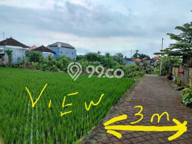 Tanah Dijual Lokasi Mengwi, Badung Luas 164m2 Legalitas Aman Tanah Dijual Lokasi Mengwi, Badung Luas 164m2 Legalitas Aman