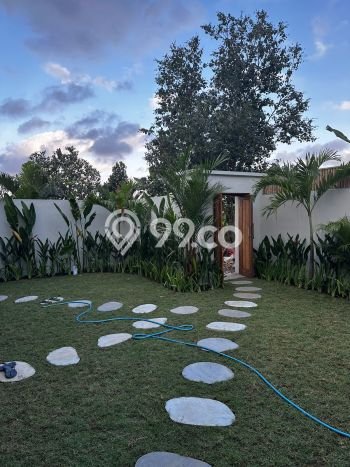 Jarang Ada! Rumah Kontrakan 2 Kamar Bagus Siap Huni Dalung Jarang Ada! Rumah Kontrakan 2 Kamar Bagus Siap Huni Dalung