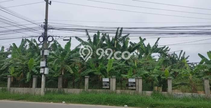 Kavling Tanah untuk Dijual di Ciangsana, Bogor, Luas 6000m2 Kavling Tanah untuk Dijual di Ciangsana, Bogor, Luas 6000m2