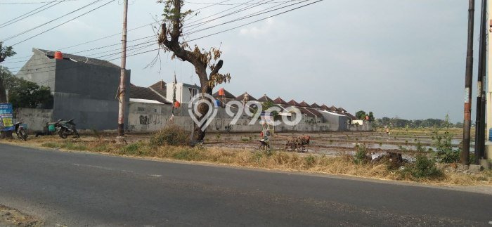 Kavling Tanah Dijual di Mojolaban Sukoharjo Spesifikasi 5175m2 Kavling Tanah Dijual di Mojolaban Sukoharjo Spesifikasi 5175m2