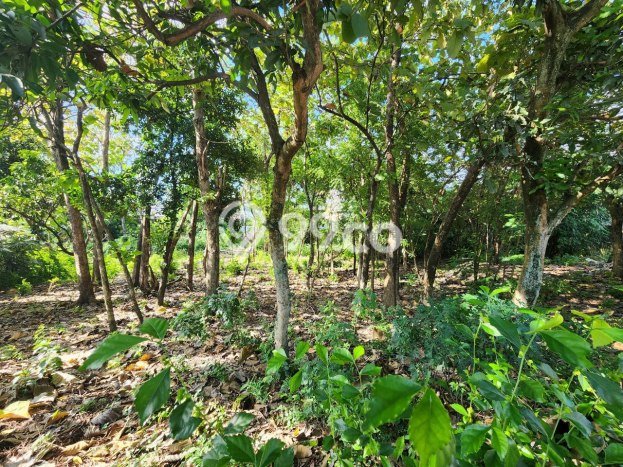 Lahan Kosong Dijual di Jebres, Surakarta, Luas 4600m2 Area Strategis Lahan Kosong Dijual di Jebres, Surakarta, Luas 4600m2 Area Strategis