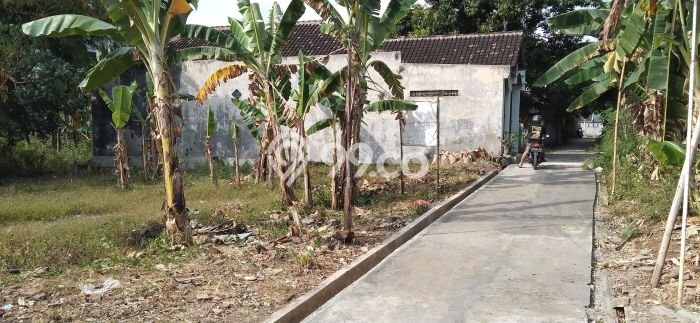 Tanah Area Berkembang di Banjarsari, Luas 370m², Dekat ke Fasilitas Umum, Dekat Banjarsari, Surakarta, Surakarta Tanah Area Berkembang di Banjarsari, Luas 370m², Dekat ke Fasilitas Umum, Dekat Banjarsari, Surakarta, Surakarta